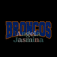 Broncos Curve SPANGLE Transfer