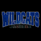 Wildcats SPANGLE Transfer